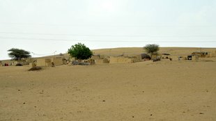 Rajasthan News, India Pakistan Border, Barmer