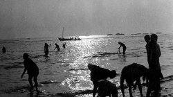 बहन का फिसला पैर, बचाने के लिए दौड़ी लड़कियां, तीनों की हुई दर्दनाक मौत