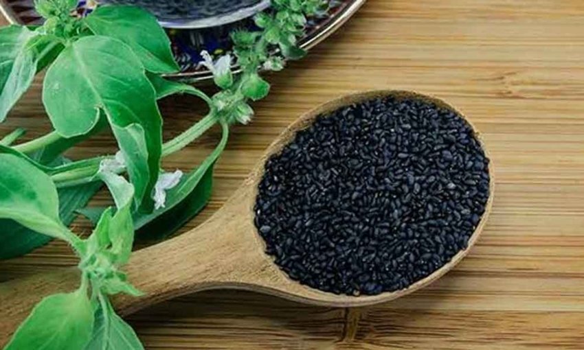 Fiber Content in Sabja Seeds