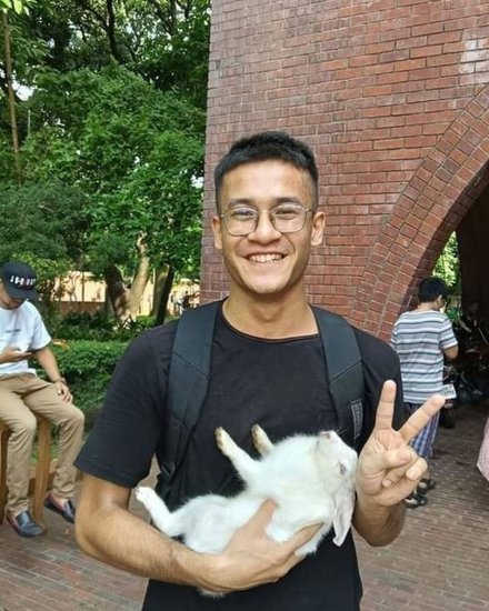 rabbit