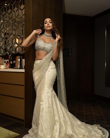 Malaika Arora Swarovski saree