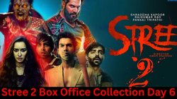 Stree 2 BO Collection Day 6: छह दिनों में ‘स्त्री 2’ ने बॉक्स ऑफिस पर दिखाया कमाल, 250 करोड़ कमाकर तोड़ा ‘गदर 2’ का रिकॉर्ड