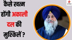 सुखबीर बादल की माफी को सिख धर्म के जानकारों ने बताया नाकाफी, क्या छोड़ना ही पड़ेगा पार्टी अध्यक्ष का पद?