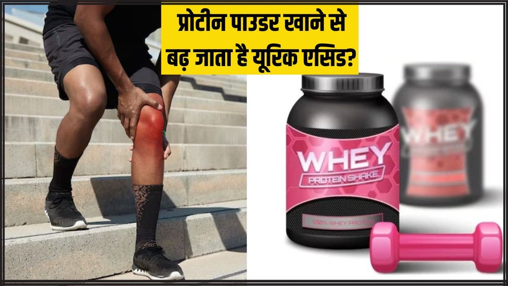 Whey Protein । Uric Acid । Protein Powder and Uric Acid