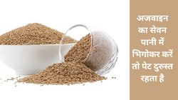 Nutritional Values: गर्मी में एक महीने तक अजवाइन के पानी का सेवन खाली पेट किया जाए तो बॉडी पर कैसा होता है असर, एक्सपर्ट से जानिए