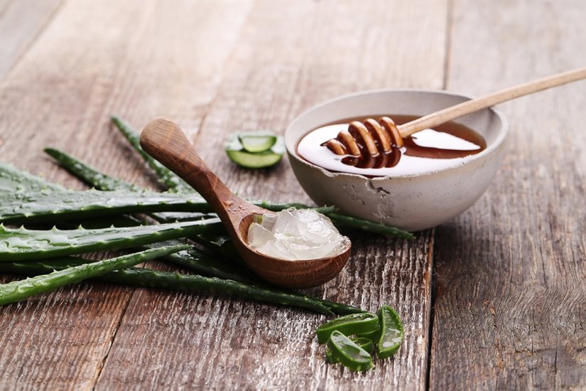 aloe vera