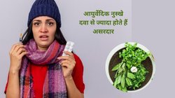 छाती बलगम से भर गई है, बुखार से बदन टूटा रहा है, आचार्य बालकृष्ण के ये 4 नुस्खे करेंगे मुश्किल आसान