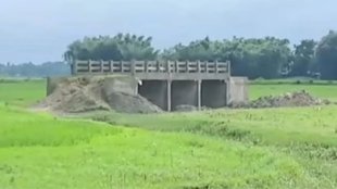bihar news, bihar bridge, bihar road,