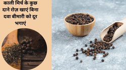 Black Pepper Benefits: 4-5 दाने इस काली मिर्च के रोज चबालें, फिर देखें बॉडी में कैसे आते हैं ये 5 बदलाव, निखर कर सामने आएगी हेल्थ