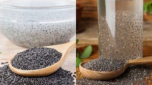 chia seeds and sabja seeds difference