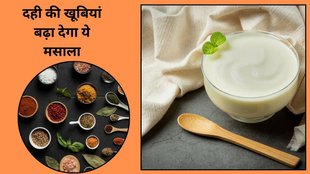 why to add cinnamon to curd,why a pinch of cinnamon powder is good,health benefits of curd and cinnamon powder,health benefits of curd,health benefits of cinnamon powder