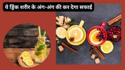 इन 5 चीजों के चूर्ण से बनता है पंचामृत, पानी में उबाल कर पीने से शरीर के कोने-कोने से निकल जाती है गंदगी, आचार्य बालकृष्ण ने बताया फॉर्मूला