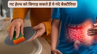 kitchen scrub, bacteria,E. coli, health risks, replace frequently, Dr. G Sneha, Ananya, hygiene,kitchen scrubs and sponges,fecal bacteria