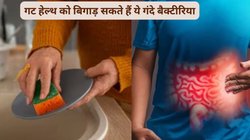 टॉयलेट सीट से भी ज़्यादा गंदा है आप के किचन का स्पंज और ब्रश, पेट में पहुंच कर लाखों गंदे बैक्टीरिया आंत को बना लेंगे ठिकाना, जानें Sponges से जुड़ी सारी जानकारी