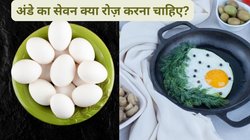 अंडा उबाल कर, ऑमलेट बनाकर या कच्चा खाएं? रोजाना Raw Egg खाने से बॉडी पर कैसा होता है असर, एक्सपर्ट से जानिए