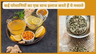 tips to make fennel ginger water,how to make fennel ginger water,health benefits of ginger water,health benefits of fennel seeds water,Fennel Ginger Water Benefits