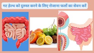 How can I fix my gut at home, How can I reduce my gut problems, What foods to avoid if you have a gut problem, Gut Health, digestion, gut bacteria,Intestine health, best fruits for Intestine health, healthy stomach, digestive system, Health, Lifestyle, what is gut bacteria, what is gut health, Gas, bloating,