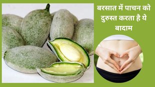 Green Almonds, Green Almond Health Benefits, Green Almond Benefits, Green Almond Health Risk, Green Almond Advantages, Green Almond Disadvantages