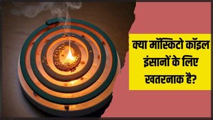 Mosquito Coil । Mosquito Coil Side Effects । Mosquito coil for humans