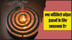क्या मच्छर भगाने वाली कॉइल इंसानों के लिए हानिकारक है? आप भी करते हैं इस्तेमाल तो जरूर जान लें ये बात