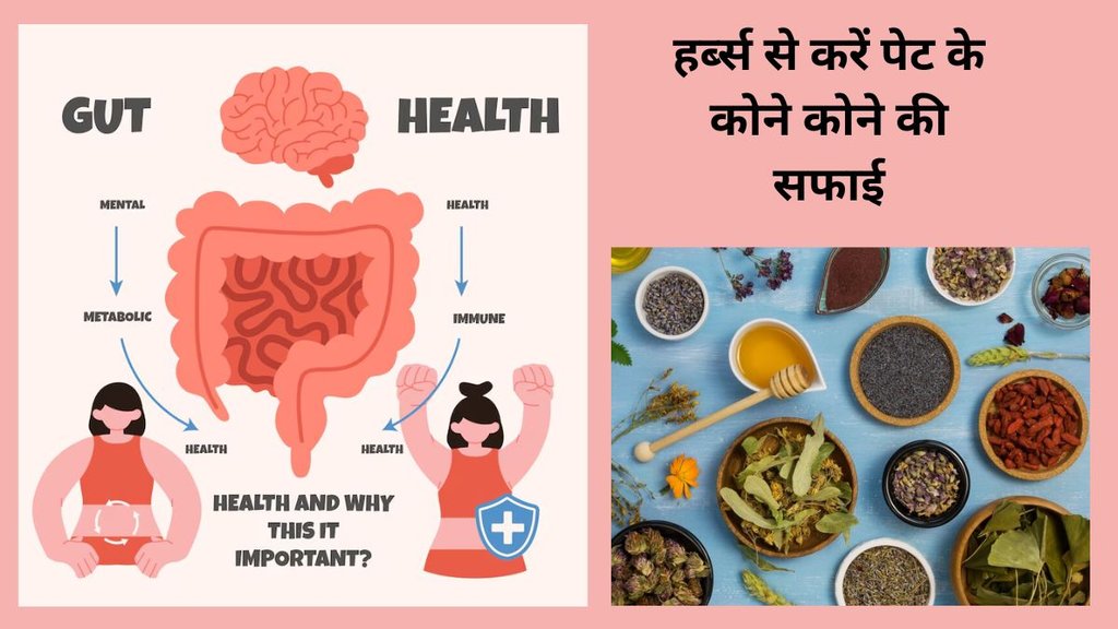 Unhealthy Gut, gut, instestine, healthy gut, ayurvedic, ayurvedic doctor, ayurveda, symptoms, unhealthy, symptoms of unhealthy gut, gut, good, exercise, anxiety,stool problem,