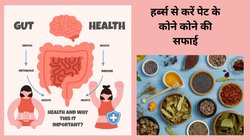 इन 5 फूड्स का सेवन करने से बढ़ जाते हैं पेट में खराब बैक्टीरिया, आंतों में बढ़ता है गंदगी का बोझ, ये 4 आयुर्वेदिक हर्ब्स करेंगे कोलन क्लीन