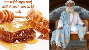 health, one spoon honey consume daily, habbites, herbs, herbal, wellbeing, oxigen, fight, immuity system, hindi videos, sadhguru, meditation, isha, yoga, turmeric milk,