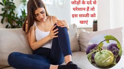 यूरिक एसिड कंट्रोल करने में ये अजीब दिखने वाली सब्जी है लाजवाब, जोड़ों के दर्द और सूजन को करेगी कंट्रोल, रोजाना करेंगे सेवन तो मिलेंगे 4 फायदे