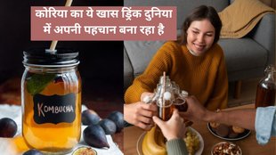 probiotics,Korean culture,Kombucha Korean Drink,Kombucha Benefits,Kombucha,immune system,fermented tea,detoxification,B vitamins,antioxidants,