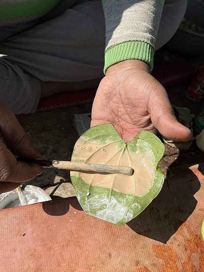 Katha Benefits in Paan