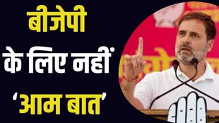rahul gandhi, mango, pakistan