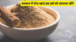 Nutritional Values: बरसात के मौसम में 1 महीने तक मुलेठी का सेवन किया जाए तो सेहत पर कैसा होता है असर, एक्सपर्ट से जानिए