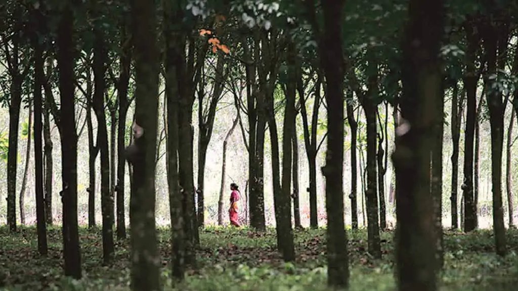 nature
