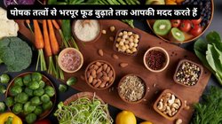 गजब के पावरफुल हैं ये 4 फूड, पोषक तत्वों का खजना लेकिन कैलोरी और कार्ब्स मामूली, ऑवरऑल हेल्थ के लिए रामबाण