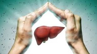 organ donation