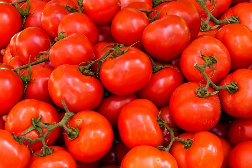 tomatoes