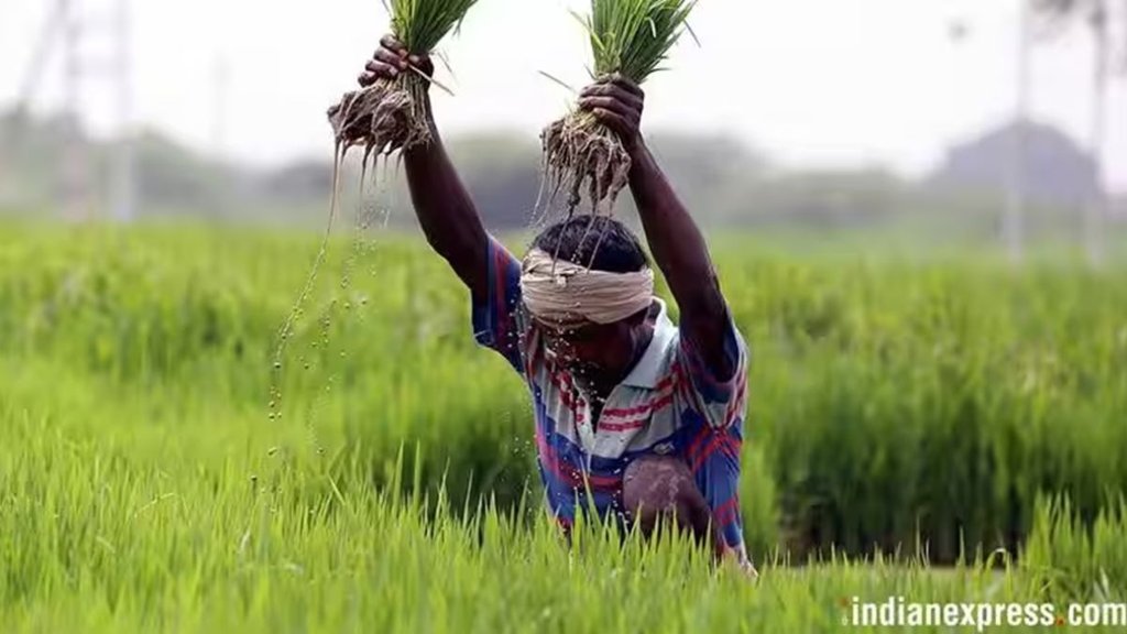 pm kisan yojana, pm kisan 18th installment, pm kisan samman nidhi yojana