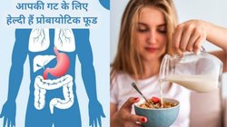 कुछ खाते ही पेट गैस से भर जाता है, एसिडिटी बेचैन करती है और कब्ज से होता है बुरा हाल, इन 5 प्रोबायोटिक्स फूड्स से तुरंत करें इलाज
