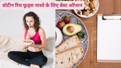 Weight Loss Break Fast: वजन कंट्रोल करना हैं तो इन 5 फूड्स से करें सुबह का नाश्ता, फैट कटर का करेंगे काम , बॉडी को मिलेगी भरपूर एनर्जी