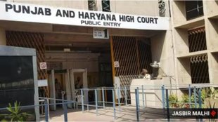 punjab haryana high court | dna test |