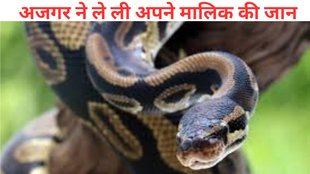 python, python killed man, jamshedpur