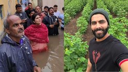 VIDEO: रविंद्र जडेजा ने फॉर्म हाउस से शेयर की तस्वीर; पत्नी रिवाबा बाढ़ में फंसे लोगों की मदद को पहुंची; कमर तक गहरे पानी में खड़े हो दिए निर्देश