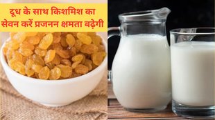 Fatherhood, fertility, soaked raisins, lukewarm milk, male fertility, sperm count, antioxidants, vitamins, minerals, zinc, selenium, protein, calcium, The Diet Xperts,