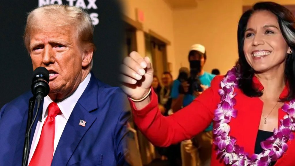 tulsi gabbard - donald trump, tulsi gabbard, donald trump