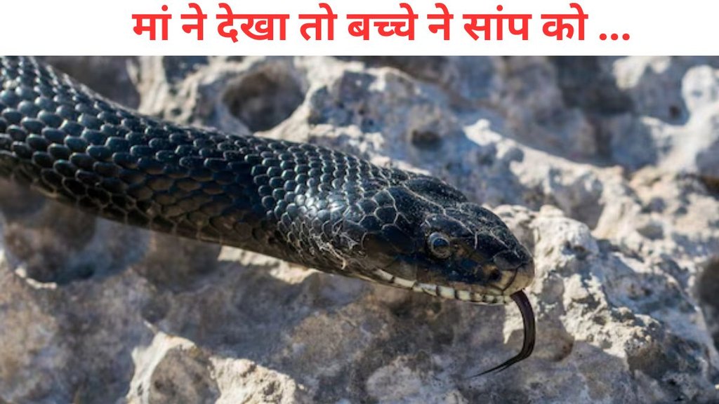 baby boy bites to snake