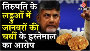 Tirupati Controversy: Chandrababu Naidu ने लगाया YSRCP पर आरोप कहा, धर्मिक आस्था के साथ खिलवाड़...