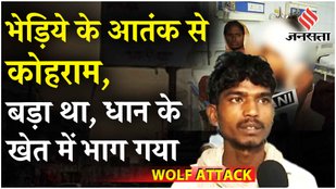 Bahraich Bhediya Attack: मादा भेड़िया पिंजरे में कैद, 11 साल की बच्ची बाल बाल बची, अस्पताल में भर्ती