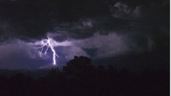 Lighting Strikes: भारी बारिश से बचने के लिए पेड़ के नीचे खड़े थे ग्रामीण, तभी गिरी बिजली और हो गया बड़ा हादसा