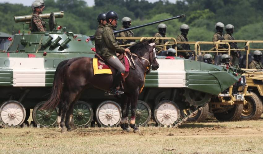 Armed Forces Festival Pictures