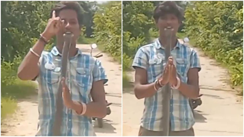 Telangana Boy, Viral video, Cobra bite,